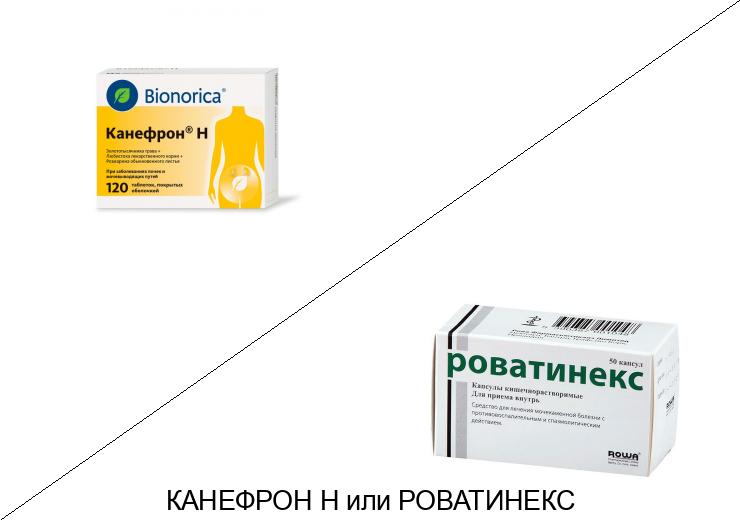 Роватинекс или Канефрон: что лучше и в чём разница